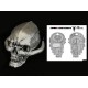 Four Horsemen Cosmic Legions: CL-15 Bonus Gift Coin and Skull (Silver) Exclusive Set